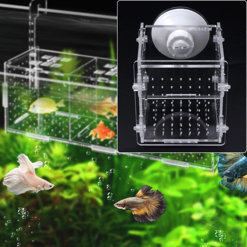 Aquarium Fish Breeding Isolation Box