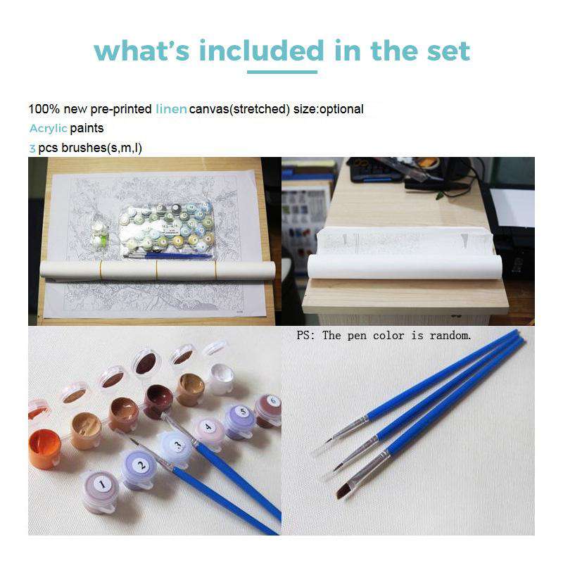 Paint by Numbers Kit - White Dove