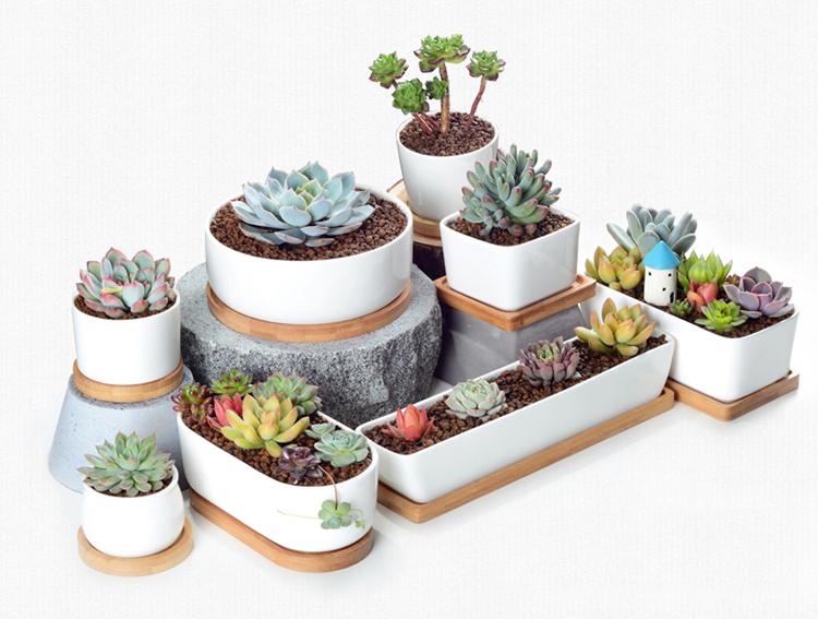 Bahari - Porcelain Round Desktop Succulent Planter